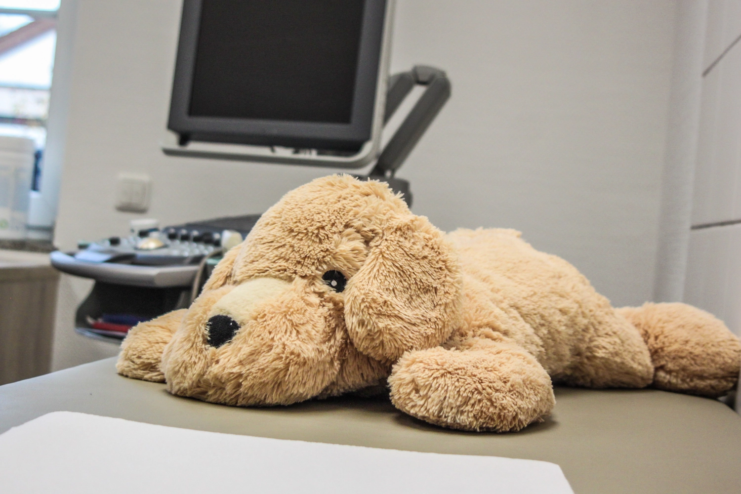 Praxis Dr.medic Steluta Costineanu - Fachärztin für Kinder- und Jugendmedizin - Ein Wandbild von Graf mit Brille ist durch die Wand hindurch sichtbar.