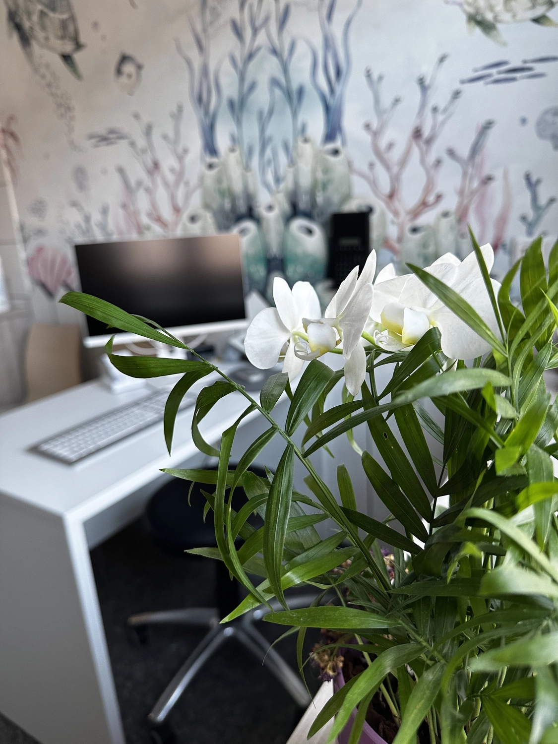 Praxis Dr.medic Steluta Costineanu - Fachärztin für Kinder- und Jugendmedizin - Teleskop und Stethoskop auf dem Tisch